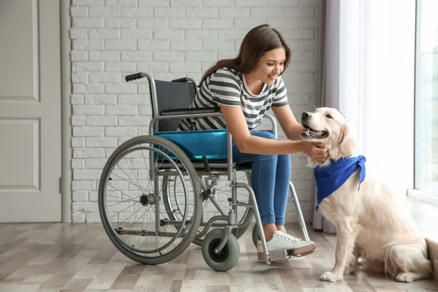 Woman in a wheelchair greeting her assistance dog at home